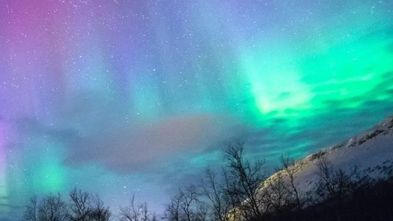 Yukon winter tour scenery
